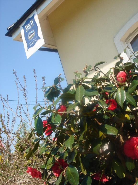 B&B Kamelia Komorniki  Esterno foto